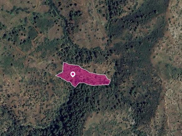 Agricultural Field in Pigenia, Nicosia – id S43859