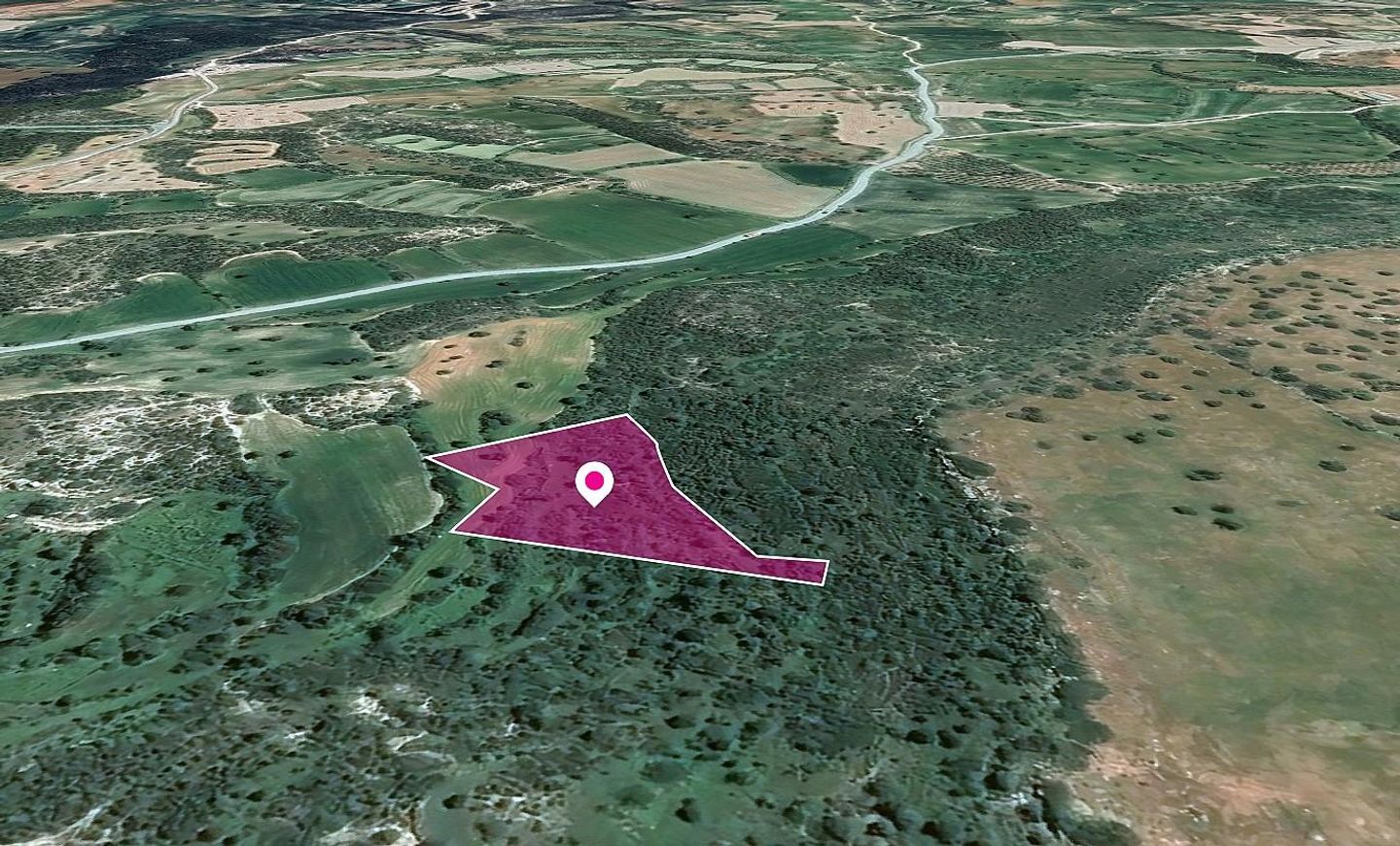 Agricultural field in Agios Theodoros, Larnaca – id S43852