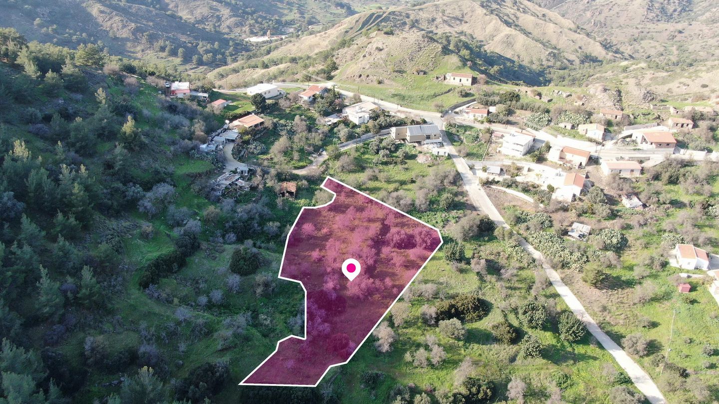 Residential field located in Pigenia, Nicosia – id S42182