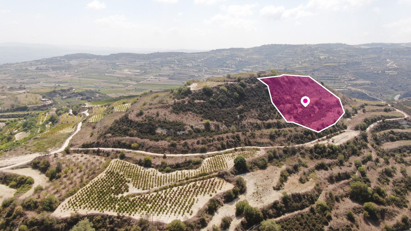 Agricultural Field, Stroumbi, Paphos – id S42631