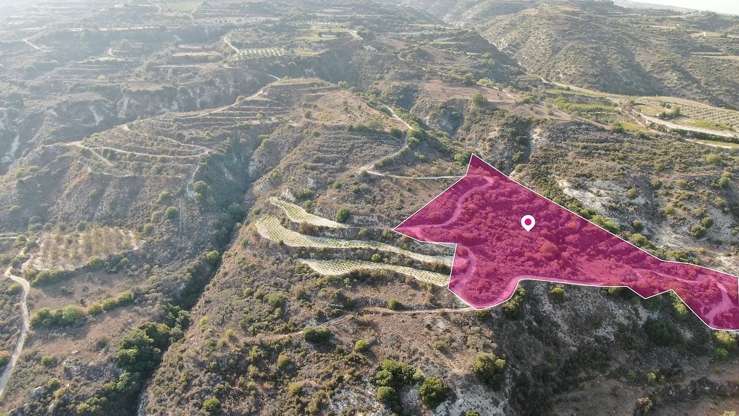 Agricultural Field in Theletra, Paphos – id S44298