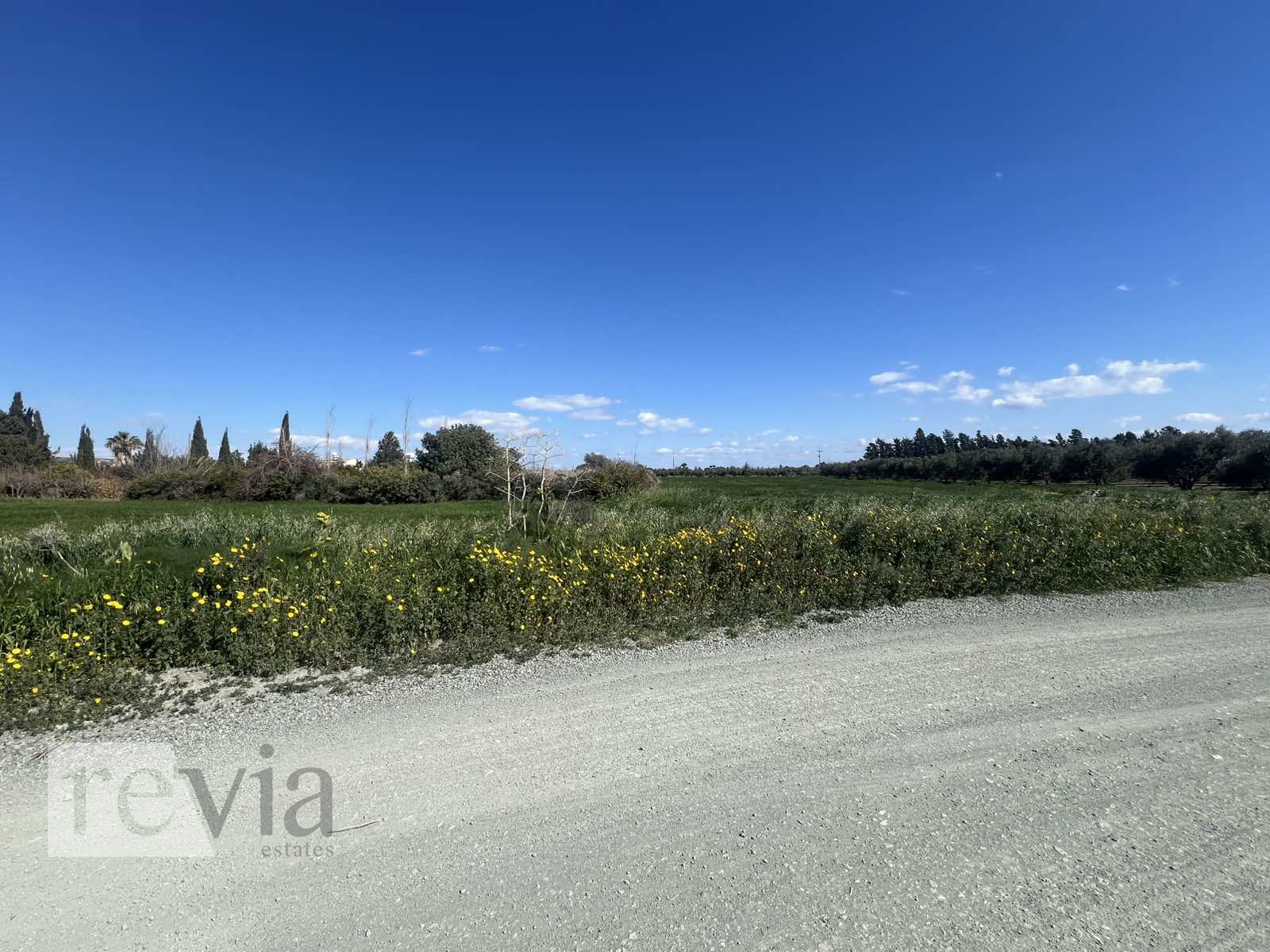 1098337 – Land Field For sale, Zygi, 2.342 sq.m., €145.000