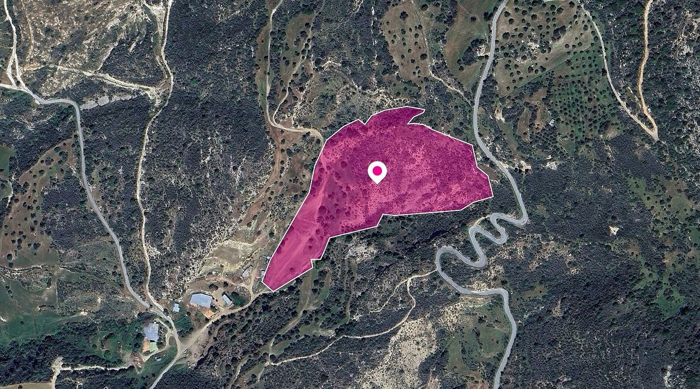 (Share) Field, Agios Isidoros, Paphos – id S43452