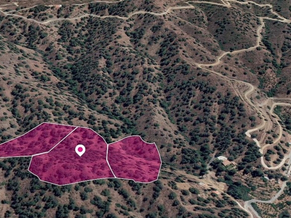 Three adjacent agricultural Fields in Kakopetria, Nicosia – id S30906