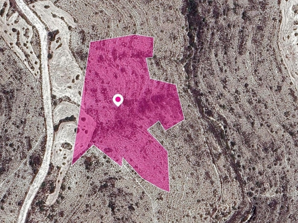 Agricultural Field in Kato Drys, Larnaca – id S43767