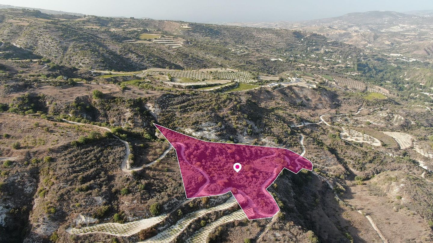 Agricultural Field in Theletra, Paphos – id S44298