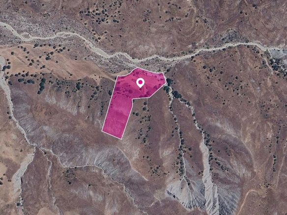 Agricultural/Special Protection Field in Kelokedara, Paphos – id S43956