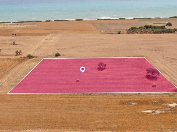 Touristic Field in Mazotos, Larnaca – id S2023
