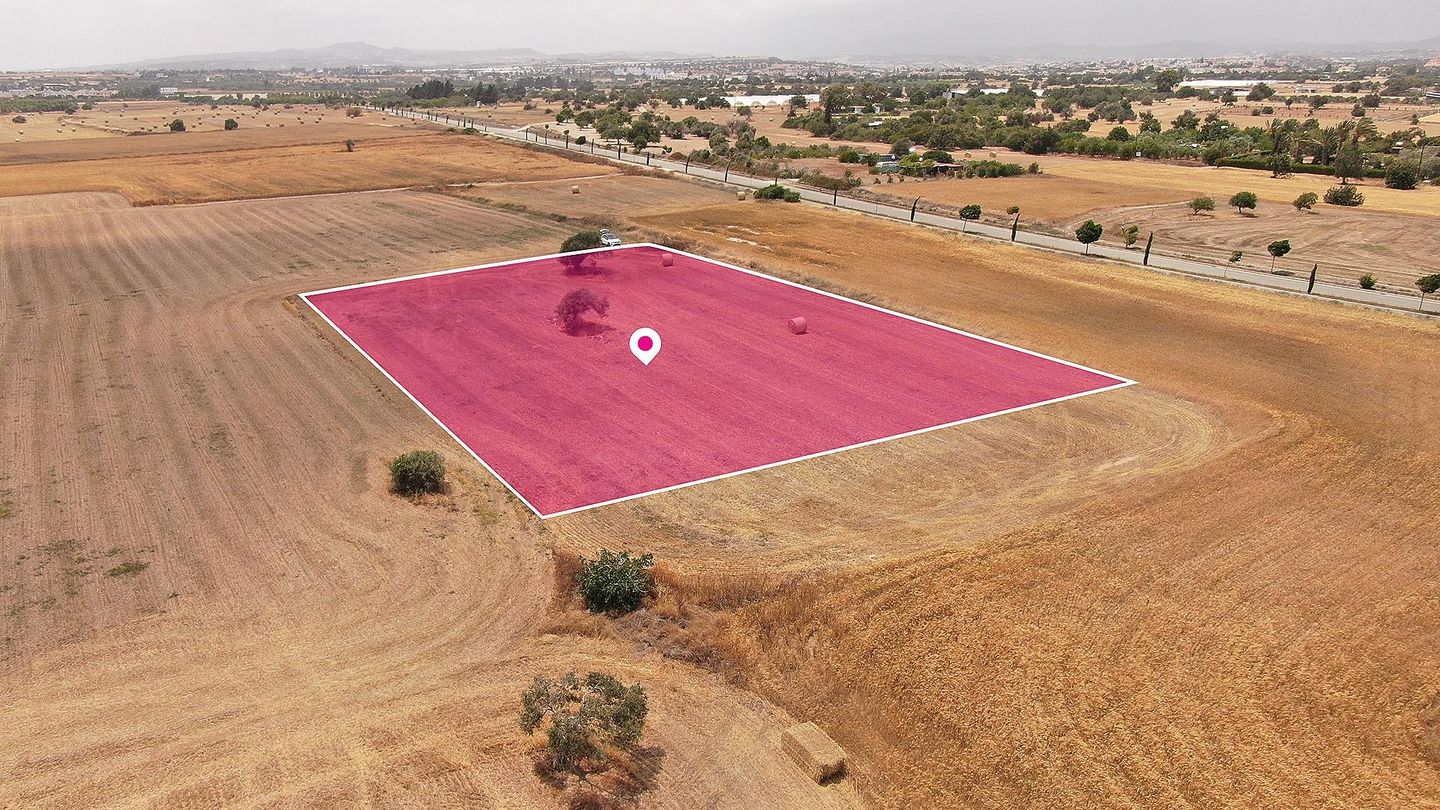 Touristic Field in Mazotos, Larnaca – id S2023