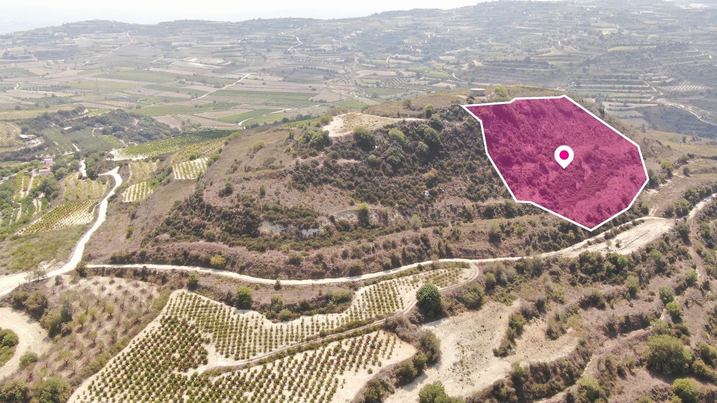 Agricultural Field, Stroumbi, Paphos – id S42631