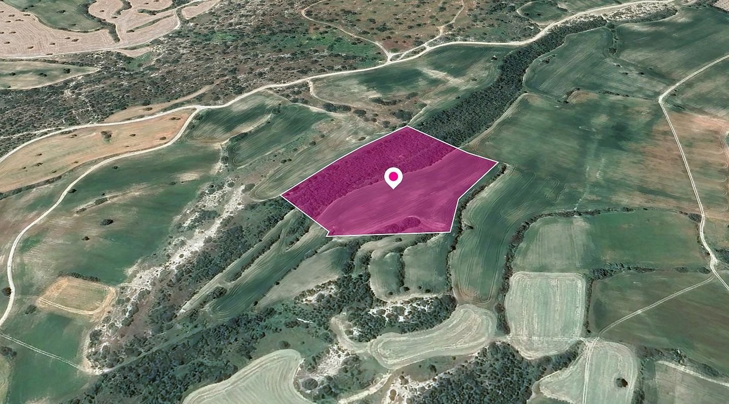 Agricultural Field in Agios Theodoros, Larnaca – id S44029