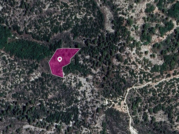 Agricultural Field, Trimiklini, Limassol – id S40087