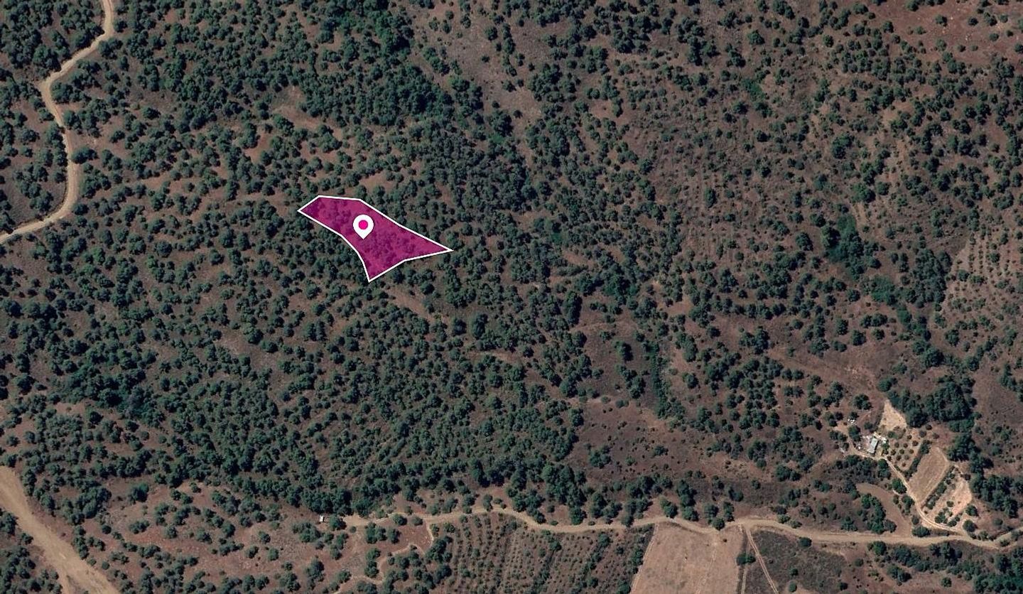Field in Theodoro Soleas, Nicosia – id S8447