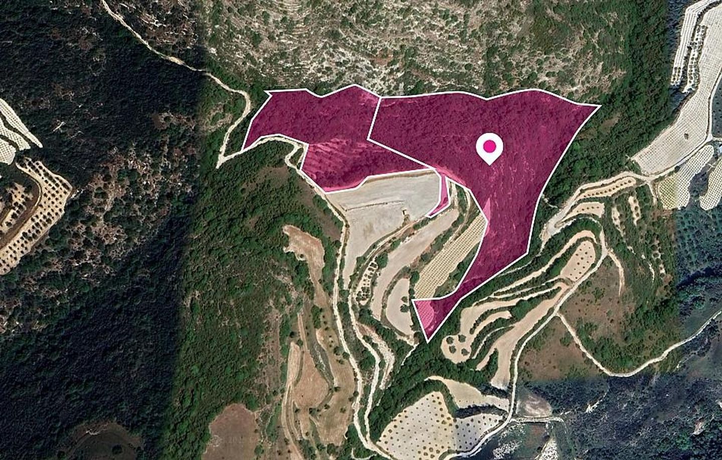 Two Fields in Theletra, Paphos – id S44952