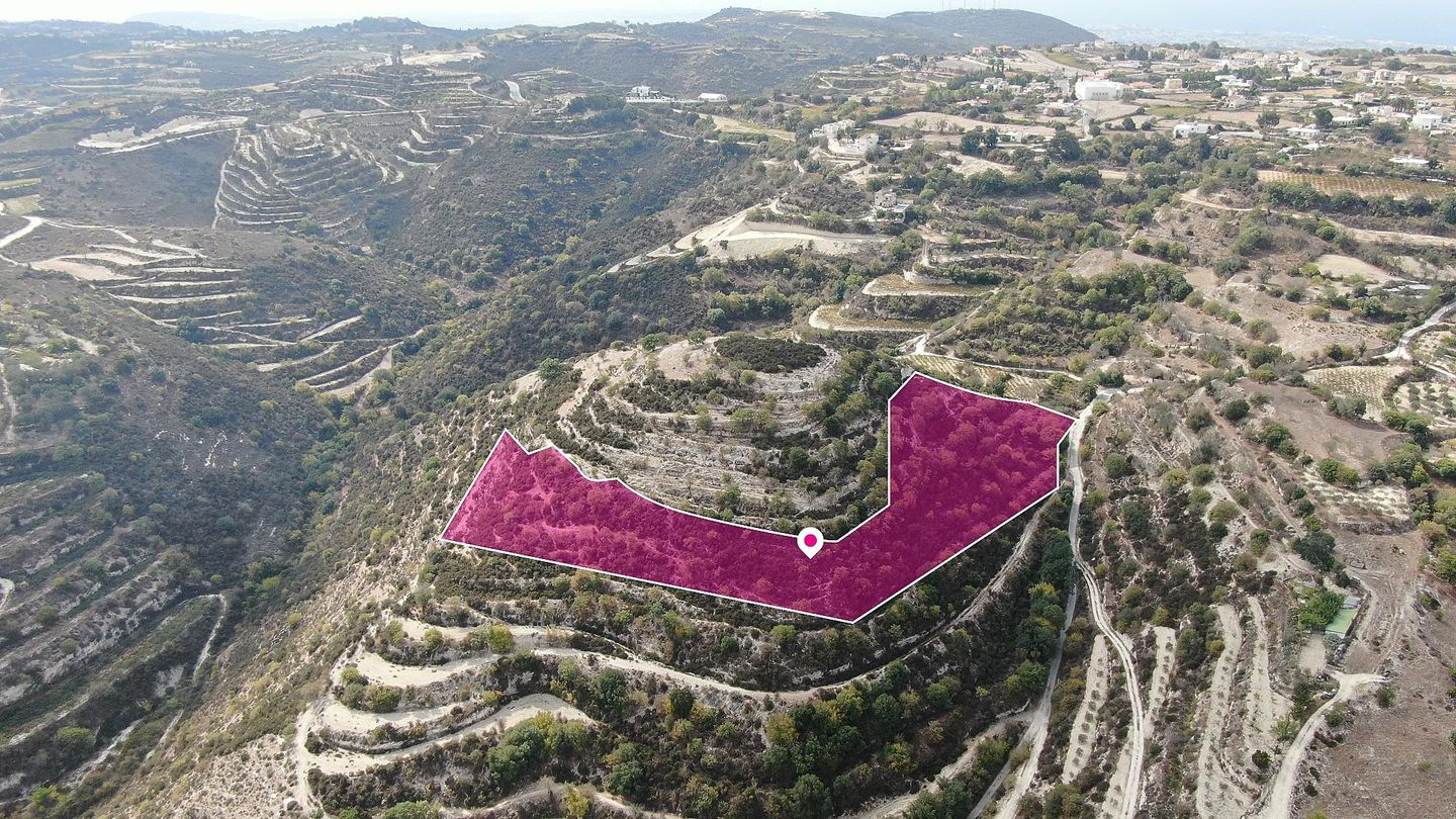 Agricultural field, Koili, Paphos – id S44961