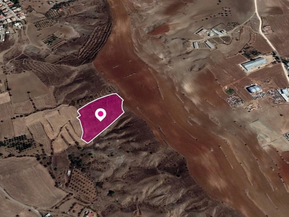 Agricultural field Agrokipia, Nicosia – id S4695