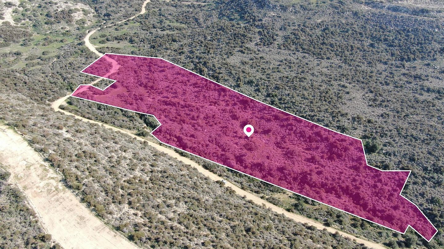 Agricultural field in  Psematismenos, Larnaca – id S31460