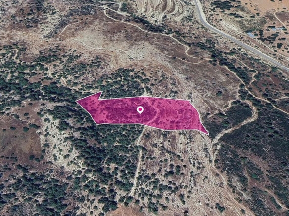 Field in Pano Archimandrita, Paphos – id S44681