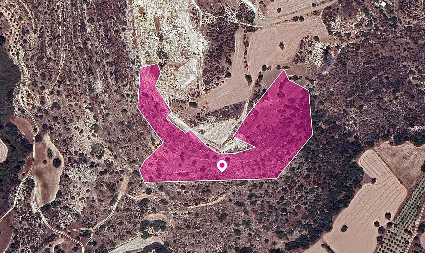 Agricultural Field in Skarinou, Larnaca – id S44509