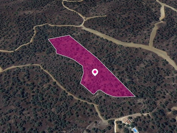 (Share) Agricultural field in Evrychou, Nicosia – id S44419