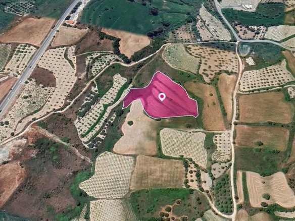 Agricultural Field in Theletra, Paphos – id S44862