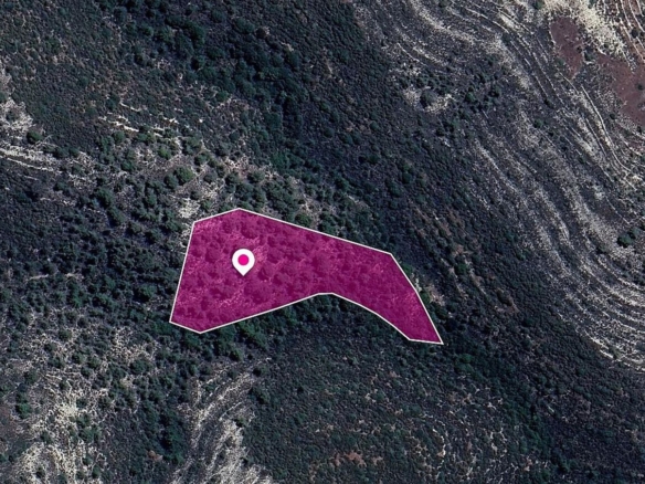 Field in Agios Therapon Community, Limassol – id S44447