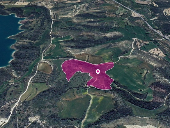 Agricultural Field in Kato Akourdaleia, Paphos – id S44735