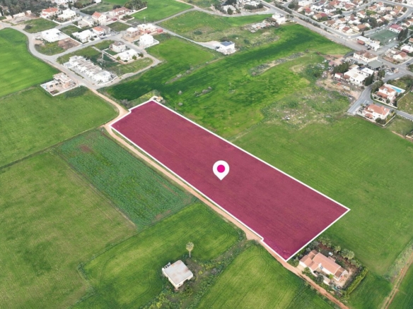 Share of Field in Avgorou, Ammochostos – id S5661