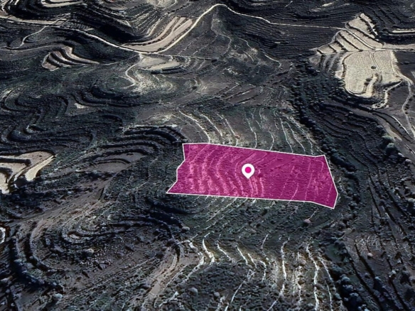 Agricultural Field in Pachna, Limassol – id S44537