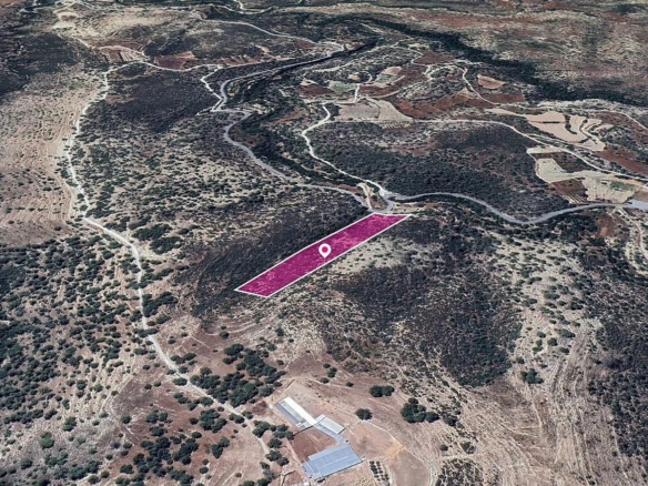 Field in Agios Therapon, Limassol – id S44449