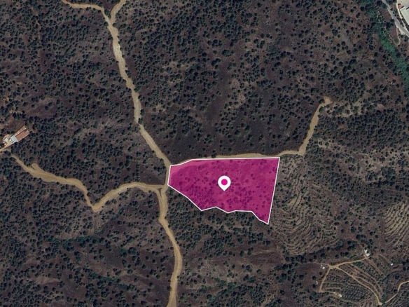 (Share) Agricultural field in Agios Theodoros Soleas, Nicosia – id S44420