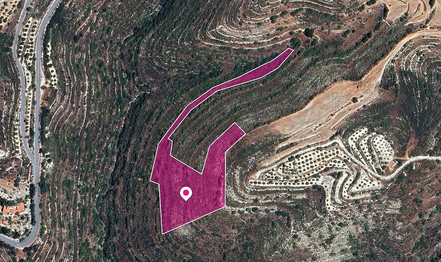 Field in Agios Therapon, Limassol – id S44535