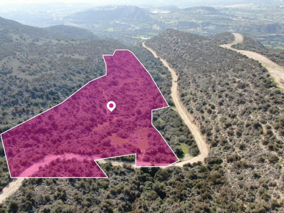 Agricultural field in  Psematismenos, Larnaca – id S31460