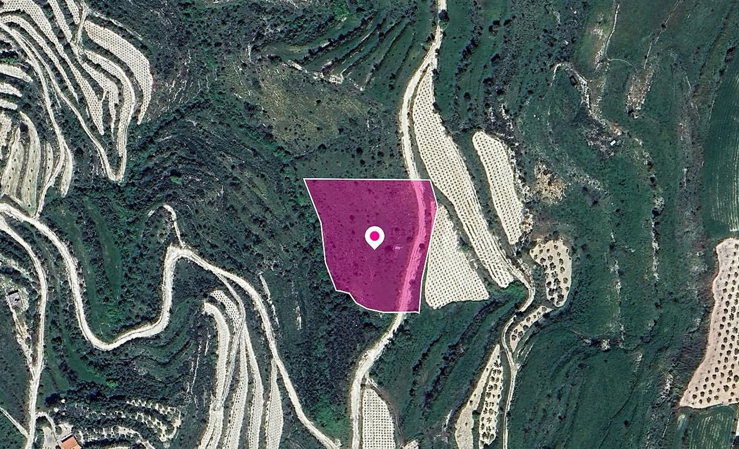 Agricultural Field in Koili, Paphos – id S44566