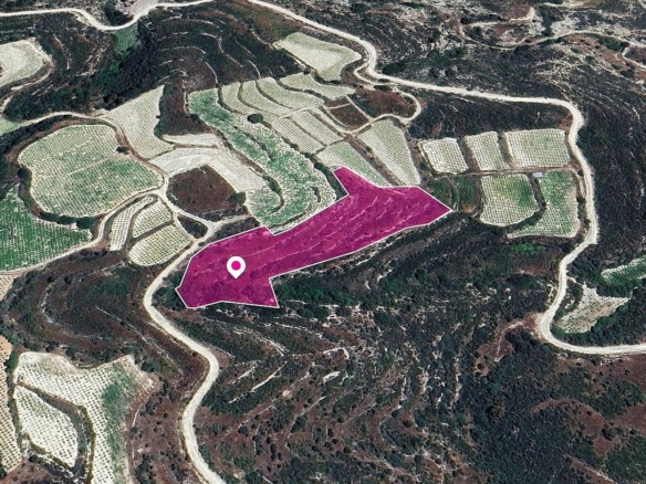 Agricultural Field in Koilani, Limassol – id S44805