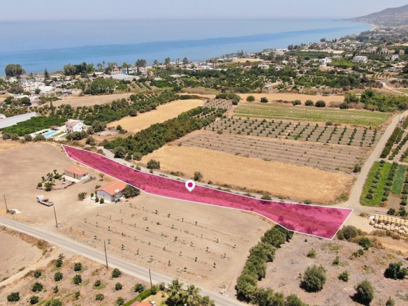 Field in Argaka, Paphos – id S45456