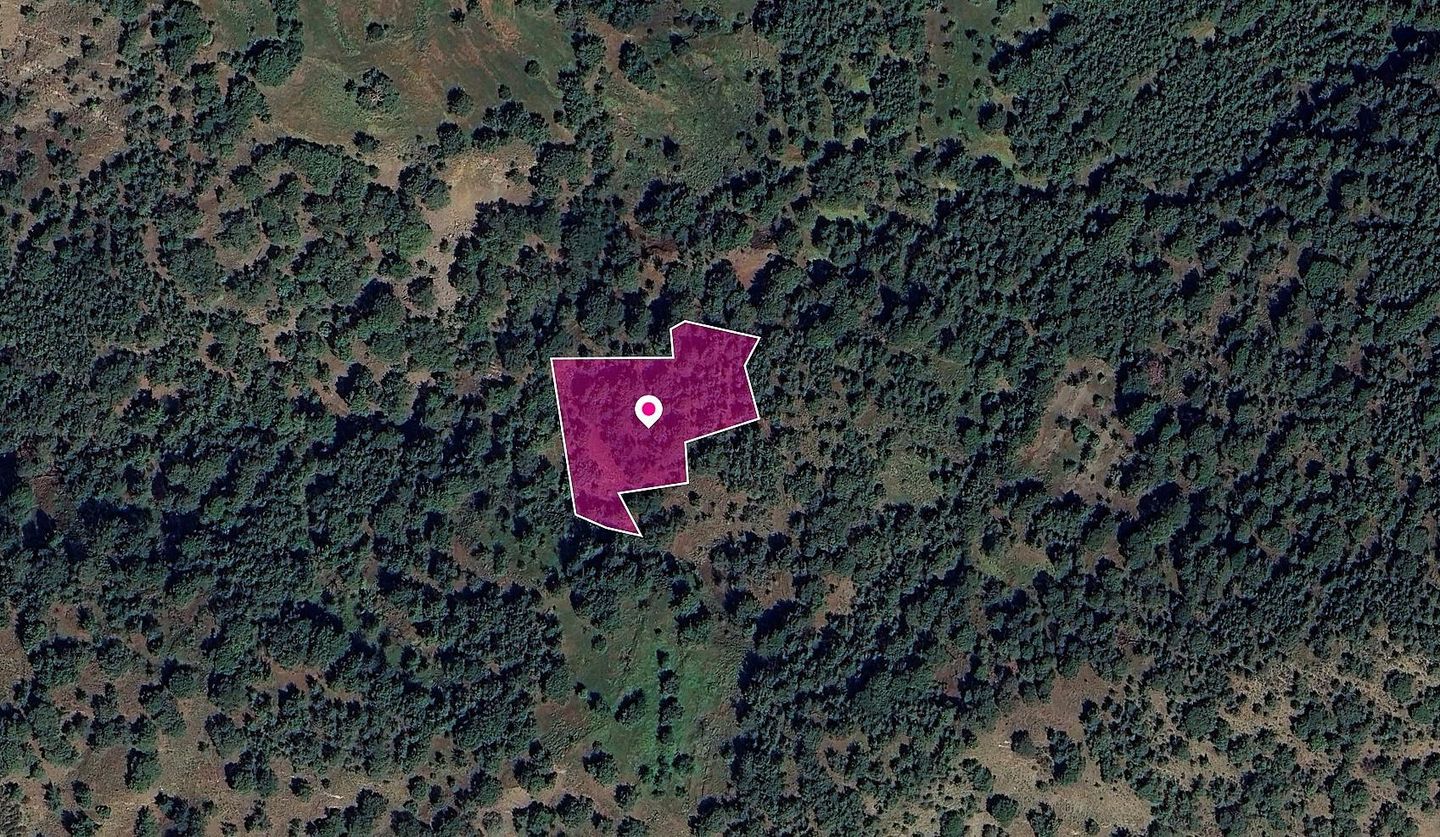 FIeld in Pomos, Paphos – id S44876