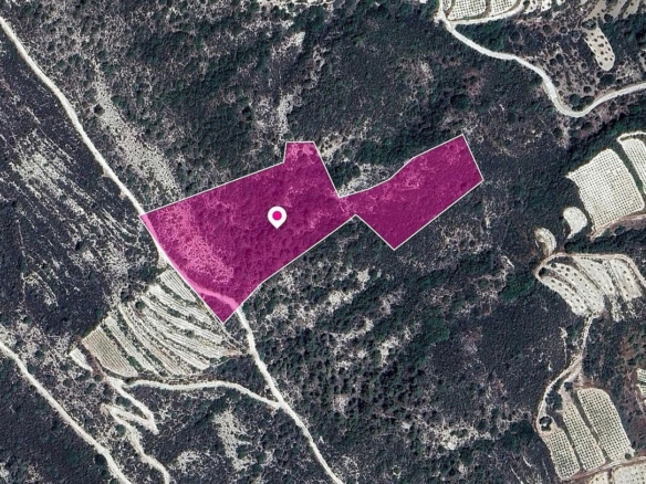 Agricultural Field in Kapilio, Limassol – id S44716