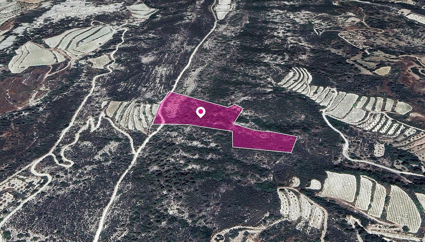 Agricultural Field in Kapilio, Limassol – id S44716