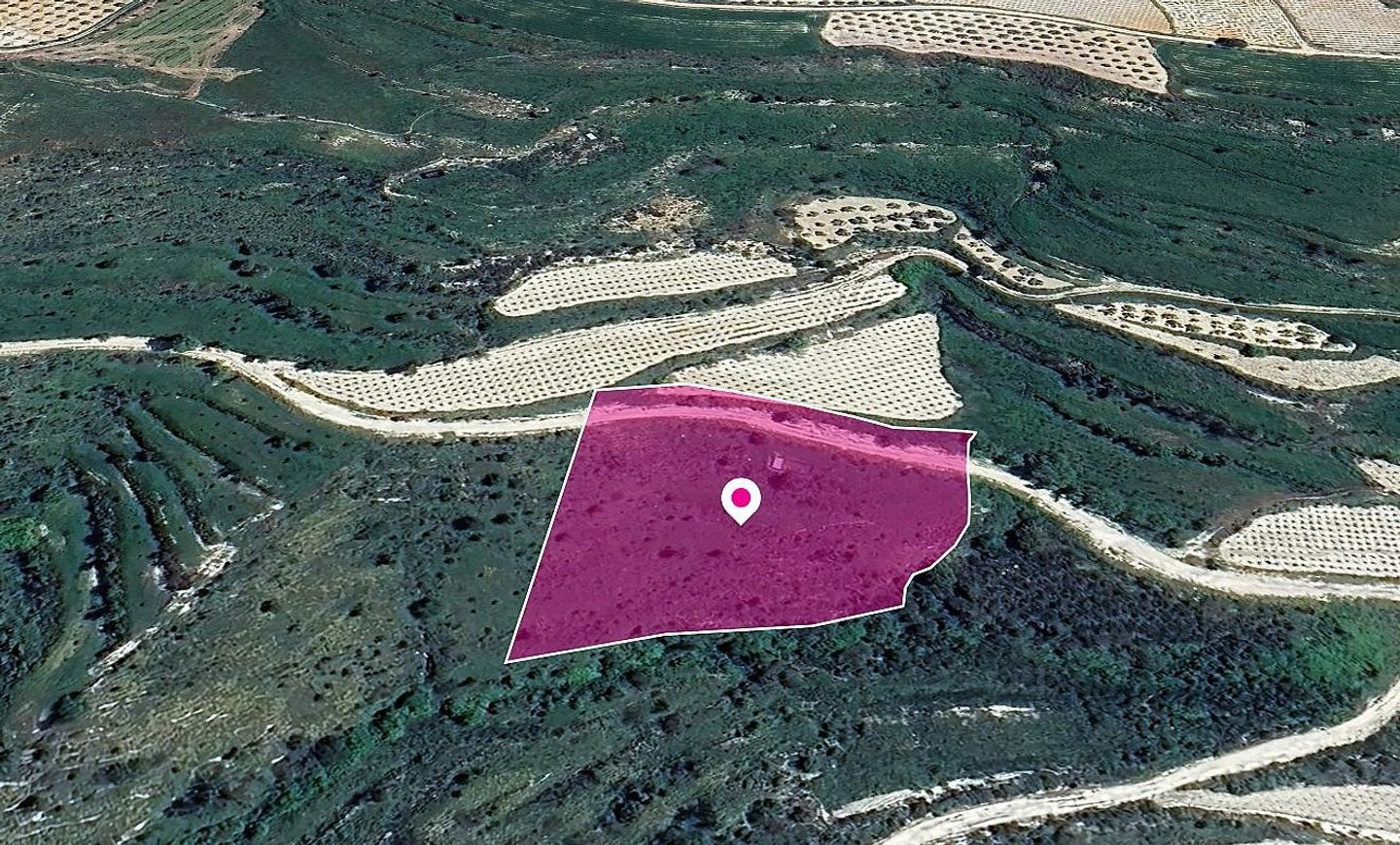 Agricultural Field in Koili, Paphos – id S44566