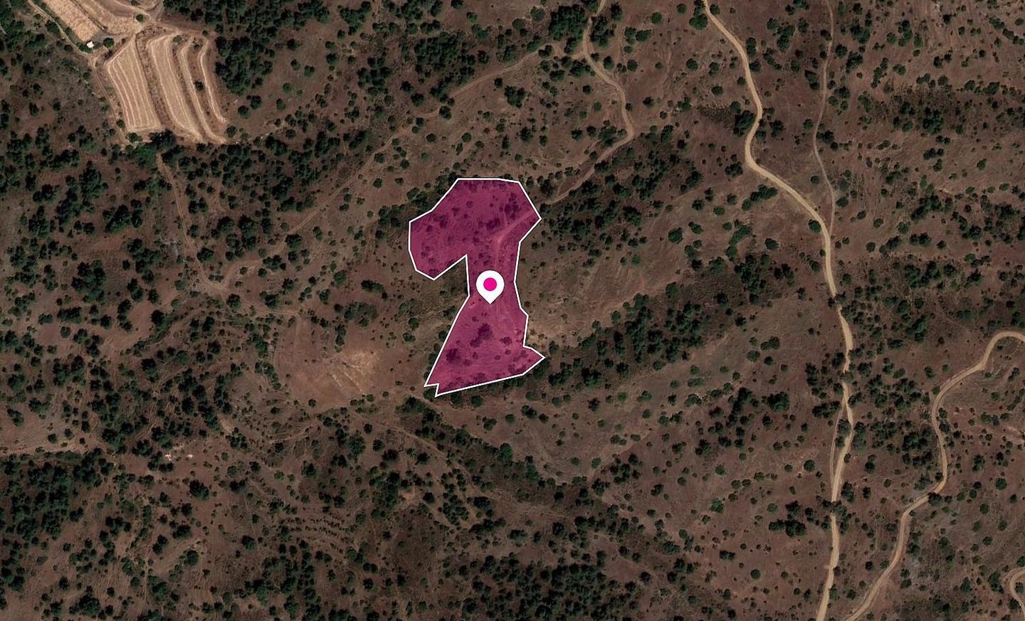 Field in Gourri, Nicosia – id S20363