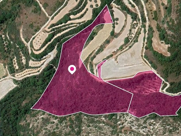 Two Fields in Theletra, Paphos – id S44952