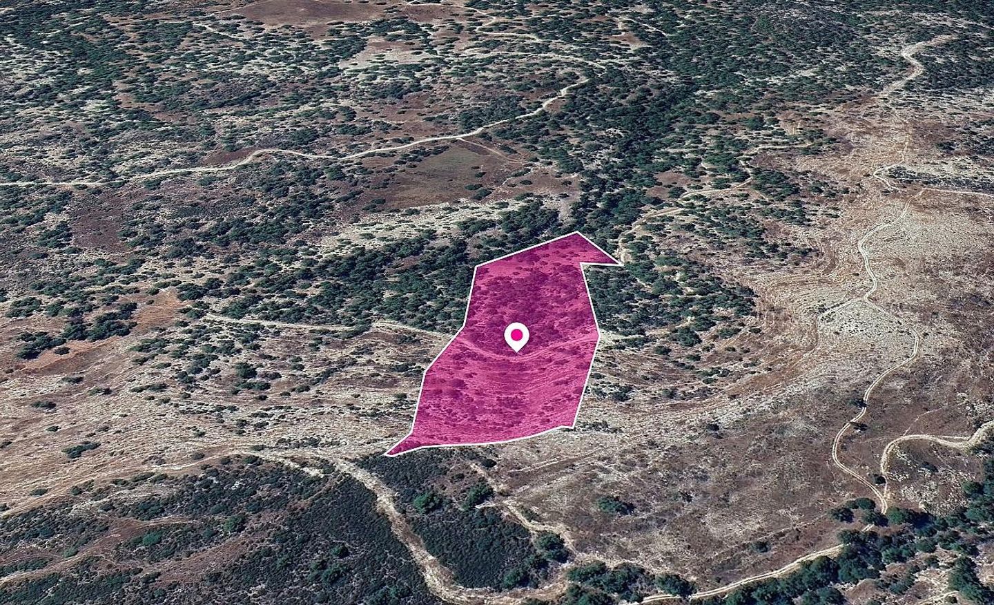 Field in Pano Archimandrita, Paphos – id S44681