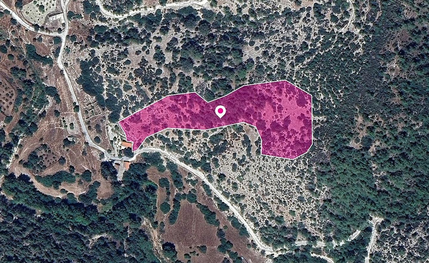 Field in Pano Archimandrita, Paphos – id S44596