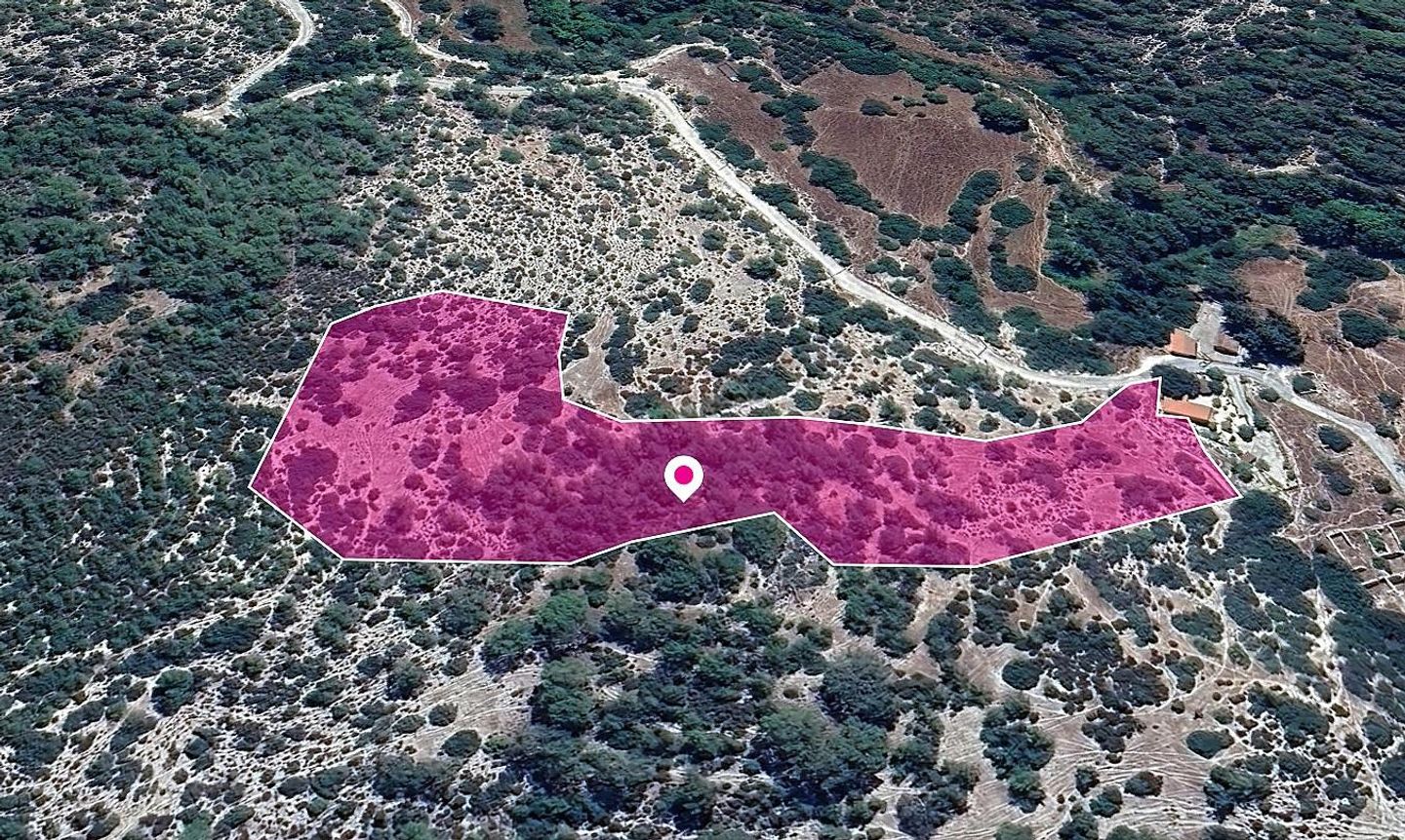 Field in Pano Archimandrita, Paphos – id S44596