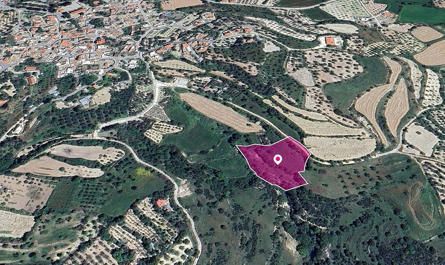 Agricultural Field in Kallepeia, Paphos – id S43779