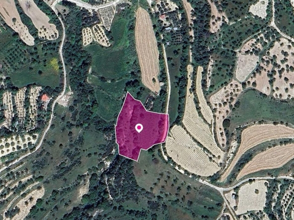 Agricultural Field in Kallepeia, Paphos – id S43779