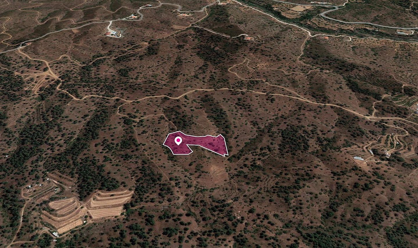 Field in Gourri, Nicosia – id S20363