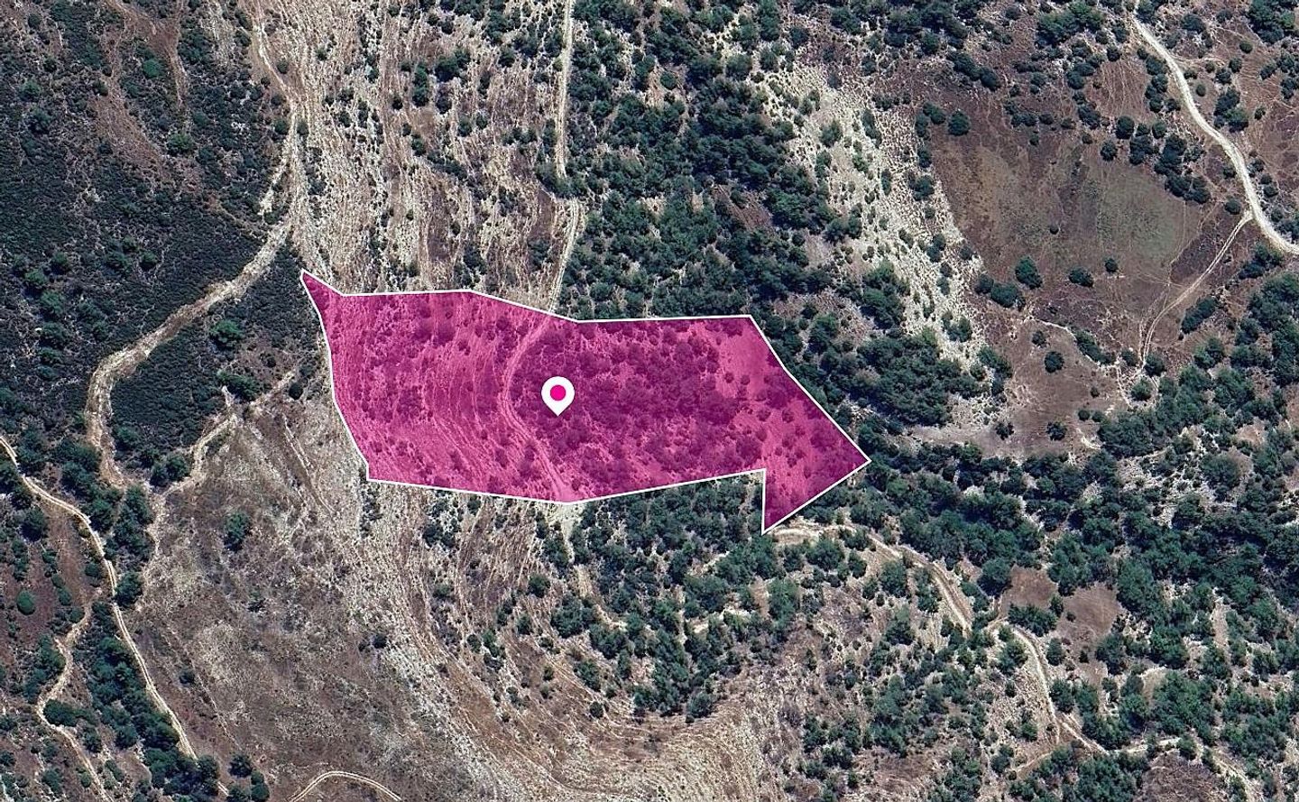 Field in Pano Archimandrita, Paphos – id S44681