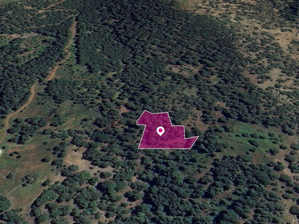 FIeld in Pomos, Paphos – id S44876